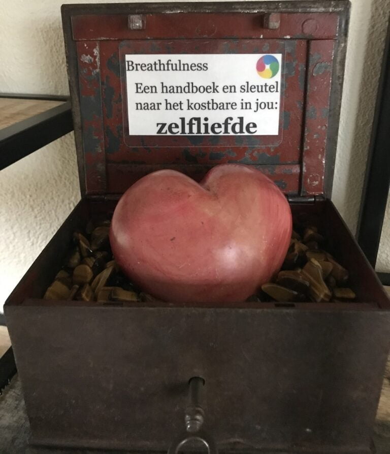 Hart in een kistje op tijgeroog steentjes