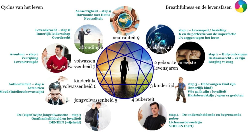 Enneagram en Levensfasen
