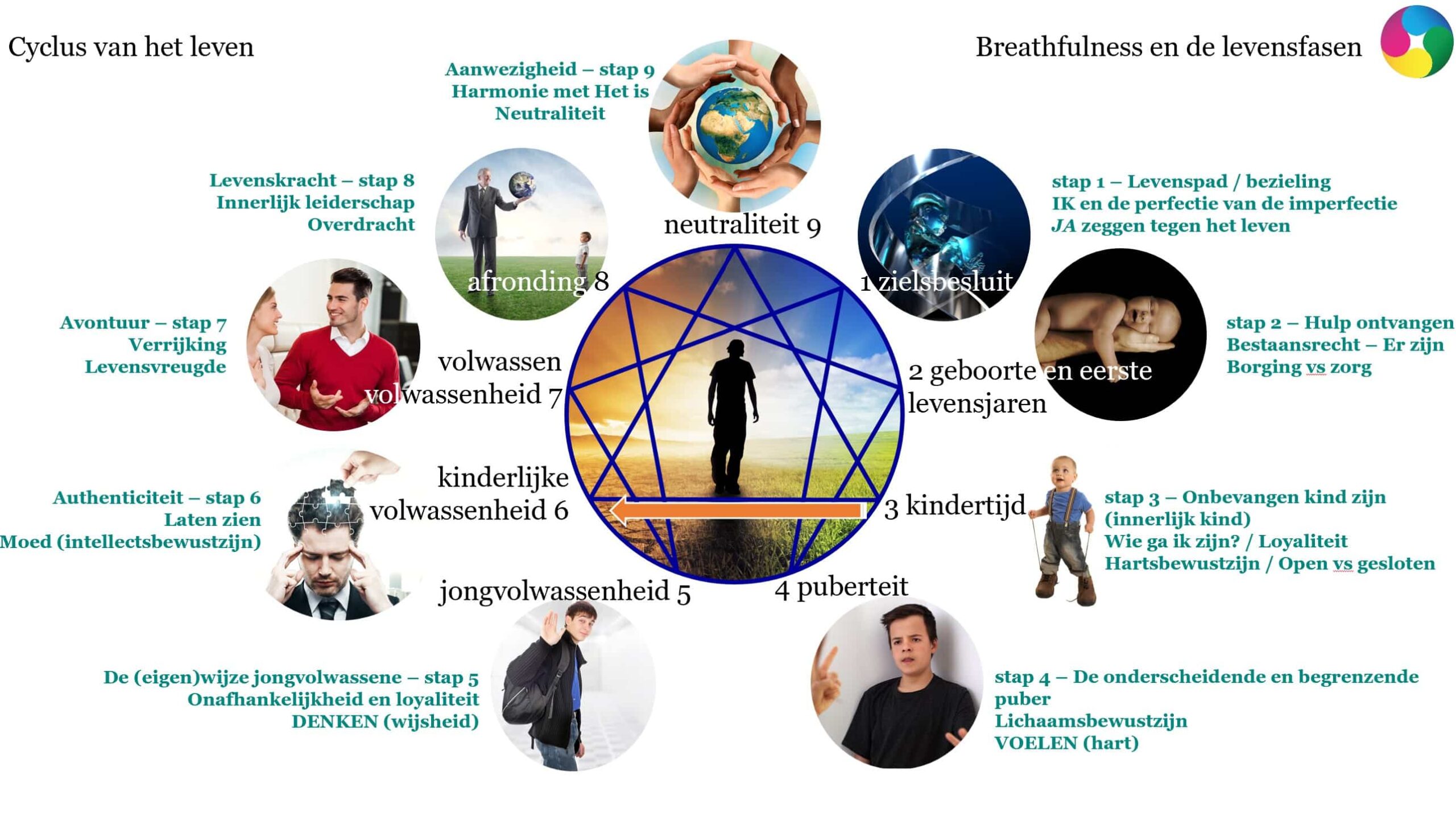 Enneagram en Levensfasen