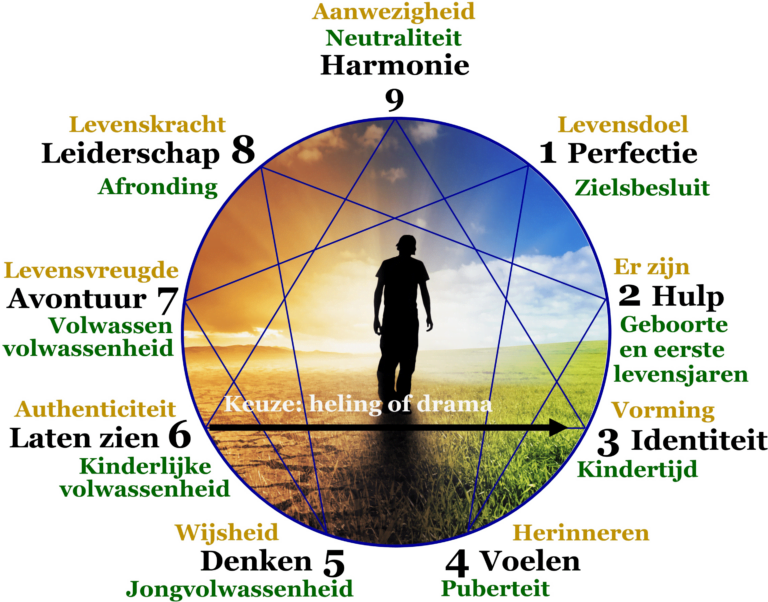 Poster van het Enneagram en de Levensfasen, waarop alle aspecten van het model duidelijk zichtbaar zijn.