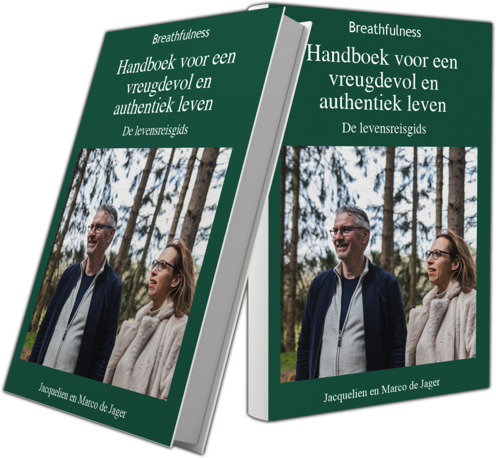Boekomslag ‘Een Handboek voor een Vreugdevol en Authentiek Leven’ twee keer
